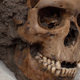 Un cráneo encontrado en el Templo Mayor, en ciudad de México. Foto: AP